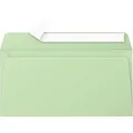 Produktbild: Clairefontaine Briefumschlag Pollen 5475C DL grün 20 St./Pack.