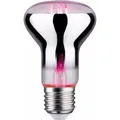 Produktbild: Paulmann Grow Green Pflanzenlampe R63 (LED, 6.50 V) (28732)