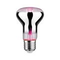 Produktbild: Paulmann 28732 LED Lampe Pflanzenlicht 6,5W Leuchtmittel Wachstumslicht Beleuchtung Licht 1300K E27