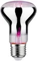 Produktbild: Paulmann LED-Pflanzenlampe Wachstum 230V E27 6.5W Bernstein 1St.
