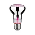 Produktbild: LED-BIRNE 6,5W GROßE E27 SOCKEL FÜR GRÜNE PFLANZEN 287.32