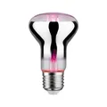 Produktbild: Paulmann LED Grow Green Pflanzenlampe Ø 63 mm, 6,5W, 200 lm, E27, 1300 K