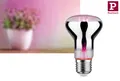 Produktbild: Paulmann Grow Green Edition LED Reflektor Filament E27 230V  R63 6,5W 1300K