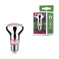 Produktbild: Grow Green Edition Filament 230V LED Reflektor E27 R63 R63 200lm 6,5W 1300K Silb