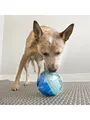 Produktbild: KONG Dog Toy Rewards Ball Large 12cm 340740