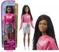 Produktbild: BARBIE DOLL BROOKLYN in a pink sweatshirt HGT14 Mattel