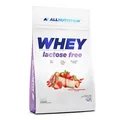 Produktbild: Allnutrition Whey Lactose Free, 700 g Beutel, Vanilla