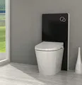Produktbild: Schwarzglas Sanitärmodul für Stand-WC inkl. Betätigungsplatte