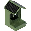 Produktbild: Braun Phototechnik Bird Cam 130 Solar Wildkamera mit Futterspender Grün