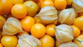 Produktbild: Bingenheimer Physalis Schönbrunner Gold, Bio, 1 Portionstüte 0,05 g - reicht für ca. 30 Pflanzen