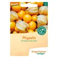 Produktbild: (0,15 EUR/Stk.) Bingenheimer Saatgut - Bio Physalis - ca. 42 Korn