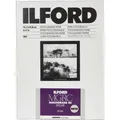 Produktbild: 1x100 Ilford MG RC DL 44M 13x18