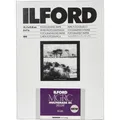 Produktbild: 1x100 Ilford MG RC DL 44M 13x18