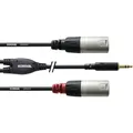 Produktbild: Cordial  Audio Adapterkabel [1x Klinkenstecker 3.5 mm - 2x XLR-Stecker] 1.80 ...