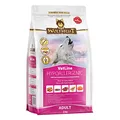 Produktbild: WOLFSBLUT – VetLine Hypoallergenic | Diät Trockenfutter für ausgewachsene Hunde mit Futterunverträglichkeiten. Getreidefreies Alleinfutter im Beutel | 2kg Pferd mit Süßkartoffeln