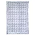 Produktbild: billerbeck Sommerbettdecke Wash Cotton, Füllung: 100% Baumwolle, Bezug: Baumwolle, Hautsympathisch und feuchtigkeitsregulierend weiß 155 cm x 220 cm