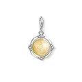 Produktbild: Thomas Sabo Unisex Charm-Anhänger Vintage Weltkugel Charm Club 925 Sterling Silber 1711-849-39