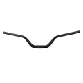 Produktbild: Rise Bar Lenker 100mm Ergotec 31,8 mm Aluminium Fahrrad E-Bike Lenker780 schwarz
