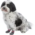 Produktbild: TRIXIE Hundesocken Anti-Rutsch grau M-L 2