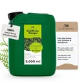 Produktbild: Konfitee Koniferen Dünger Flora Boost 5000ml I Für bis zu 1000L Gießwasser I Dünger für Koniferen, Tannen & Thujen geeignet I Flüssiger Blatt- & Wurzeldünger I 100% natürlicher Pflanzendünger