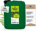 Produktbild: Koniferen Dünger Flora Boost 5000ml I Für bis zu 1000L Gießwasser