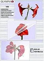 Produktbild: Olympia 1x100 DIN A5 125 micron - Transparent - A5 - 100 Stück(e)