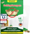 Produktbild: anwerk® Schlupfwespen gegen Lebensmittelmotten 20 Karten x 4 Lieferungen