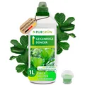 Produktbild: Purgrün Geigenfeige Dünger, NPK 10+4+6, für prächtige Blätter, 1L