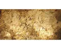 Produktbild: Buntschiefer Lichtdurchlässig Falling Leaves 61x122 cm