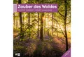 Produktbild: Ackermann Wandkalender Zauber des Waldes Broschürenkalender 2026 - 30x30 - Art12