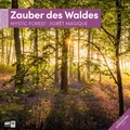 Produktbild: Zauber des Waldes Broschürenkalender 2026 - 30x30 - Art12 GmbH Kalender 28 S.