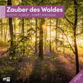 Produktbild: Zauber des Waldes Broschürenkalender 2026 - 30x30 - Art12|Kalender