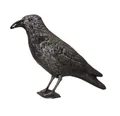 Produktbild: Swissinno Vogel-Schreck SWISSINNO Abwehrmittel Taubenabwehr 