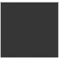 Produktbild: vidaXL Verdunkelungsrollo Schwarz 150x150 cm Stoffbreite 146,6 cm 4010878