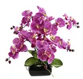 Produktbild: Kunstblume Schmetterling Orchidee mit Blätter und Luftwurzeln in Schale aus Keramik Künstliche Blume Kunstorchidee Phalaenopsis mit Übertopf Kunstpflanze Hochzeit Deko Seidenblume Real Touch Blüte