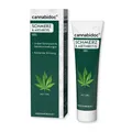 Produktbild: Cannabidoc Schmerz&arthritis Gel 50 ml
