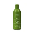 Produktbild: Olivenöl (Regenerierendes Shampoo) 400 ml