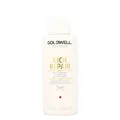 Produktbild: Goldwell Dualsenses Rich Repair 60Sec Treatment 500ml
