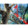 Produktbild: Wolf-Garten Baumscheren - Astscheren - MS RC-M