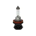 Produktbild: Glühlampe Halogen BOSCH H8 Pure Light 12V, 35W, 1 Stück [B]