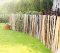 Produktbild: Staketenzaun Haselnuss 90 x 400 cm, gerollt