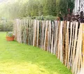 Produktbild: Staketenzaun Haselnuss 90 x 400 cm, gerollt