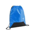 Produktbild: Puma Teamgoal Gym Sack electric blue lemonade-puma black (02) OSFA