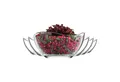 Produktbild: LAV Dessertschale Vira Glasschalen - 310 ml (10 1/2 oz), 6er Set, Glas, (6er-Set, 6-tlg), Geschwungene Form, ideal für Desserts, Snacks, Dips
