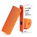 Produktbild: BLACKROLL® MINI Faszienrolle (15 x 5 cm), kleine Fitness-Rolle für die Selbstmassage, handliche Massagerolle für unterwegs, im Büro oder Fitnessstudio, mittlere Härte, Made in Germany, Orange