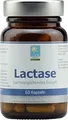 Produktbild: LACTASE KAPSELN 60 St