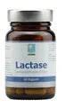 Produktbild: LACTASE Kapseln 60 St