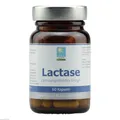 Produktbild: LACTASE KAPSELN 60 St