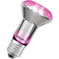 Produktbild: Osram LED Star Grow R63 Glas Reflektor 7,5W = 15W E27 klar 140lm Pflanzenlampe