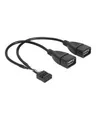 Produktbild: Delock USB-Kabel intern auf extern 9-poliger USB-Header W USB Typ A 4-polig W (83292)